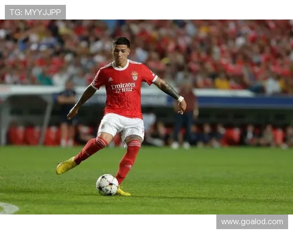 恩佐是否被高价捧高？转会溢价与实战价值差距分析