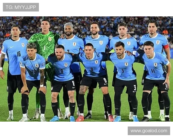 世界杯巴拉圭队D组最佳新星预测